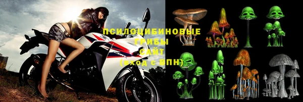 PSILOCYBIN Алзамай