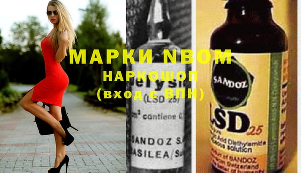 PSILOCYBIN Алзамай