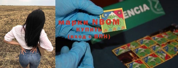 PSILOCYBIN Алзамай